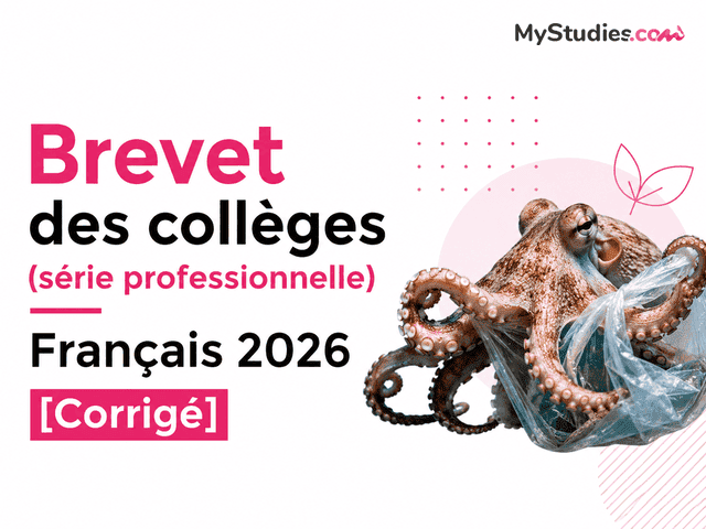 Brevet des collèges (série professionnelle) Français 2026 [Corrigé]
