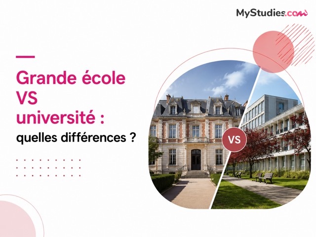 Grande école VS université : quelles différences ?